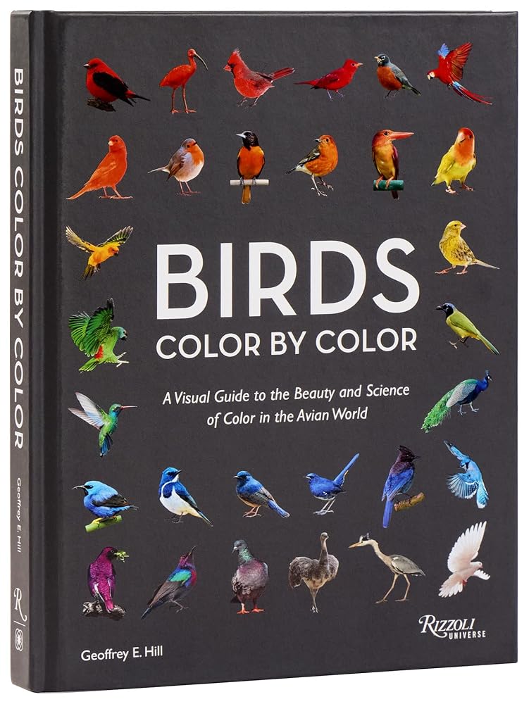 Birds Color by Color: A Visual Guide to the Beauty and Science of Color in the Avian World cover image