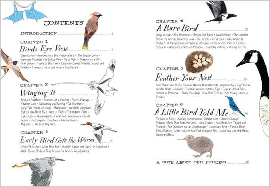 Bird Anatomy: The Curious Lives of the World's Feathered Creatures