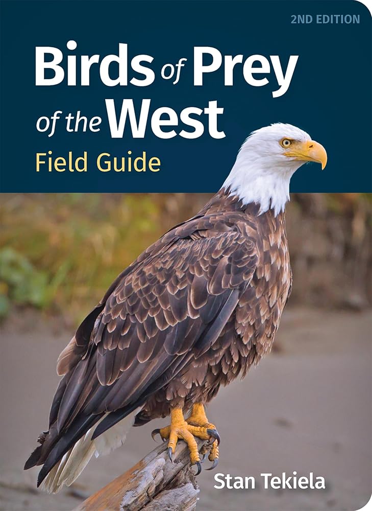 Birds of Prey of the West Field Guide (Bird Identification Guides) cover image