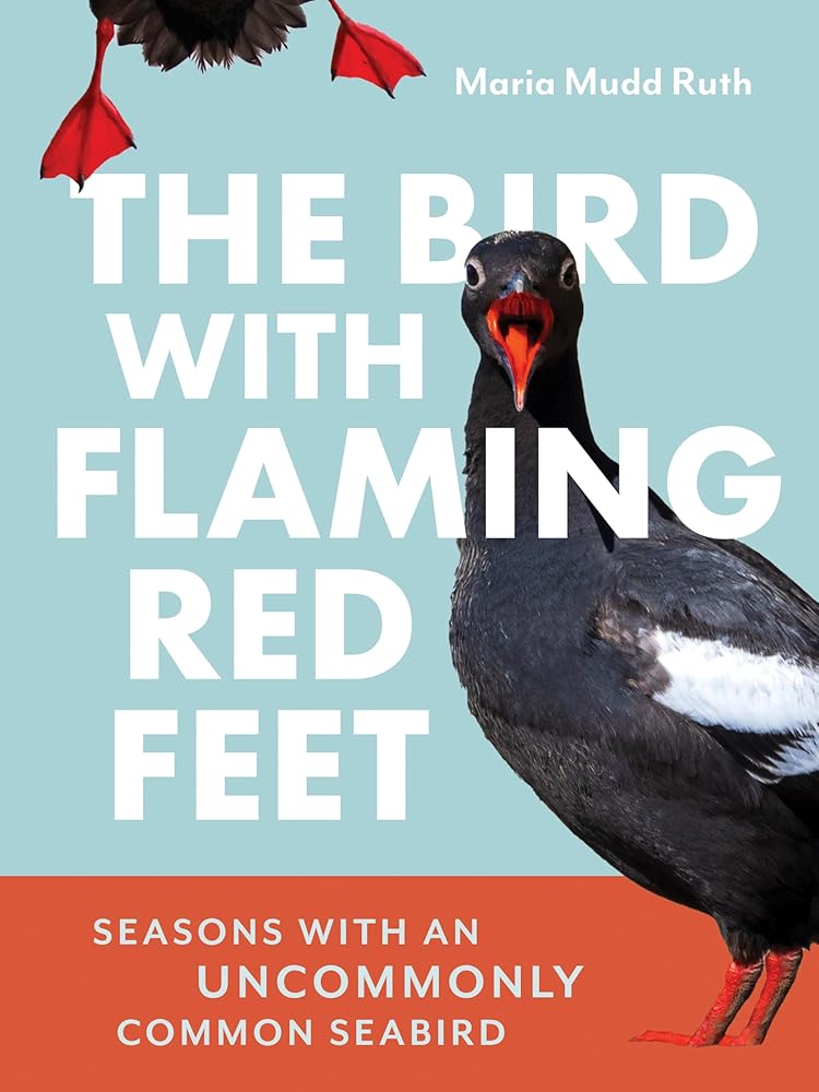 The Bird with Flaming Red Feet: Seasons with an Uncommonly Common Seabird cover image
