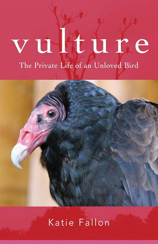 Vulture: The Private Life of an Unloved Bird cover image