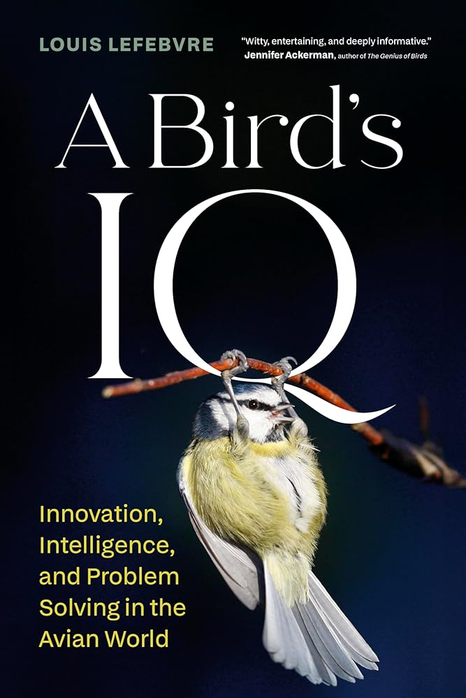 A Bird's IQ: Innovation, Intelligence, and Problem Solving in the Avian World cover image