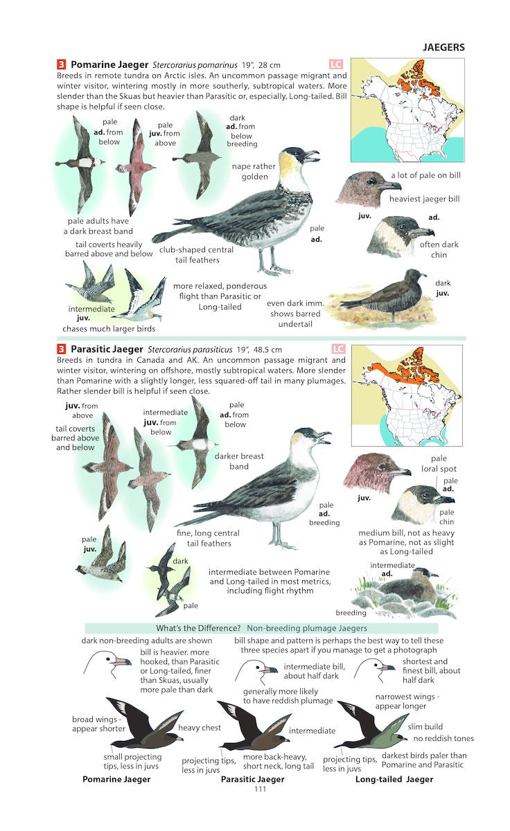 Field Guide to the Birds of North America [Pelagic Identification Guides[