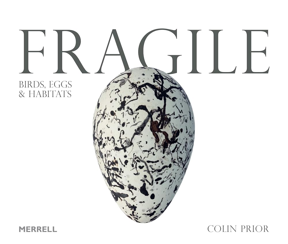 Fragile: Birds, Eggs and Habitats cover image