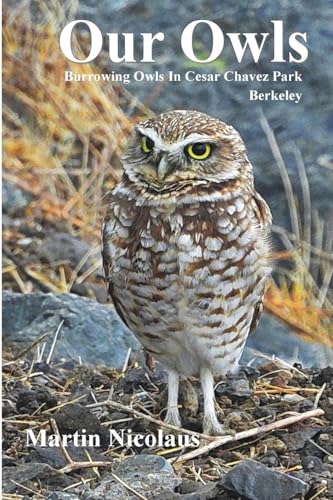 Our Owls: Burrowing Owls in Cesar Chavez Park, Berkeley cover image