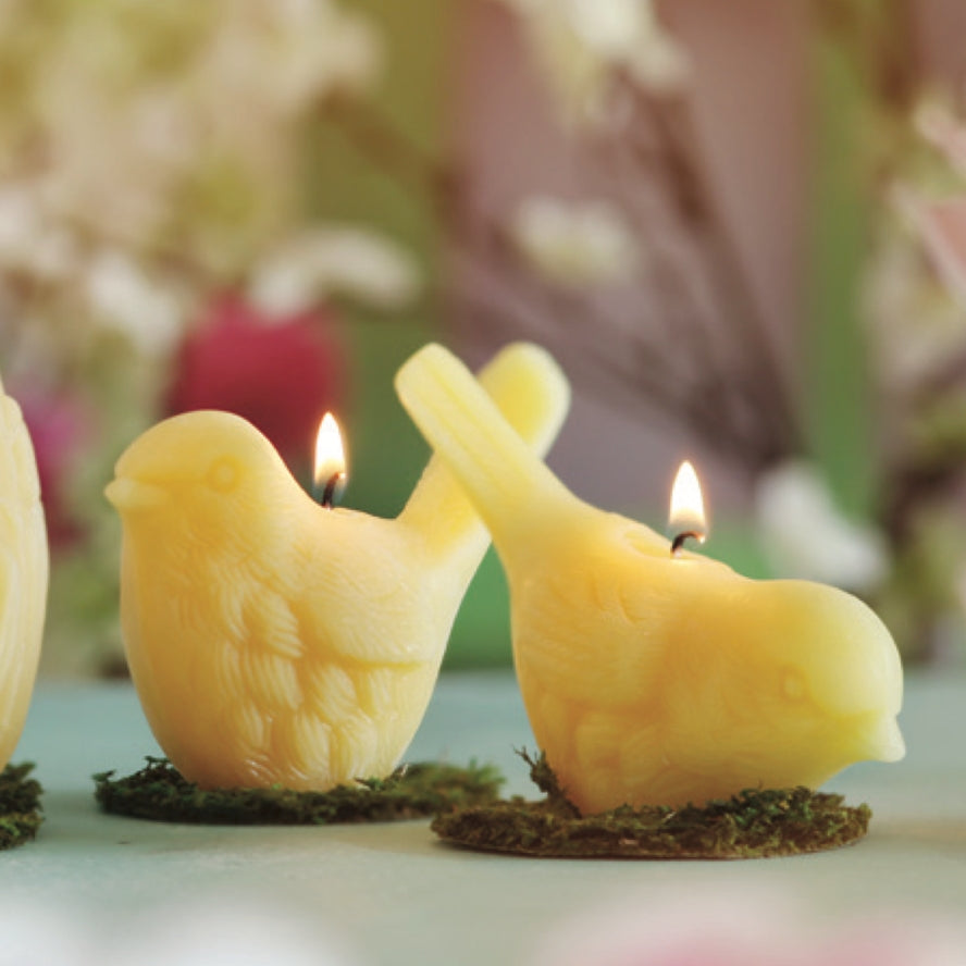 Songbird Candle
