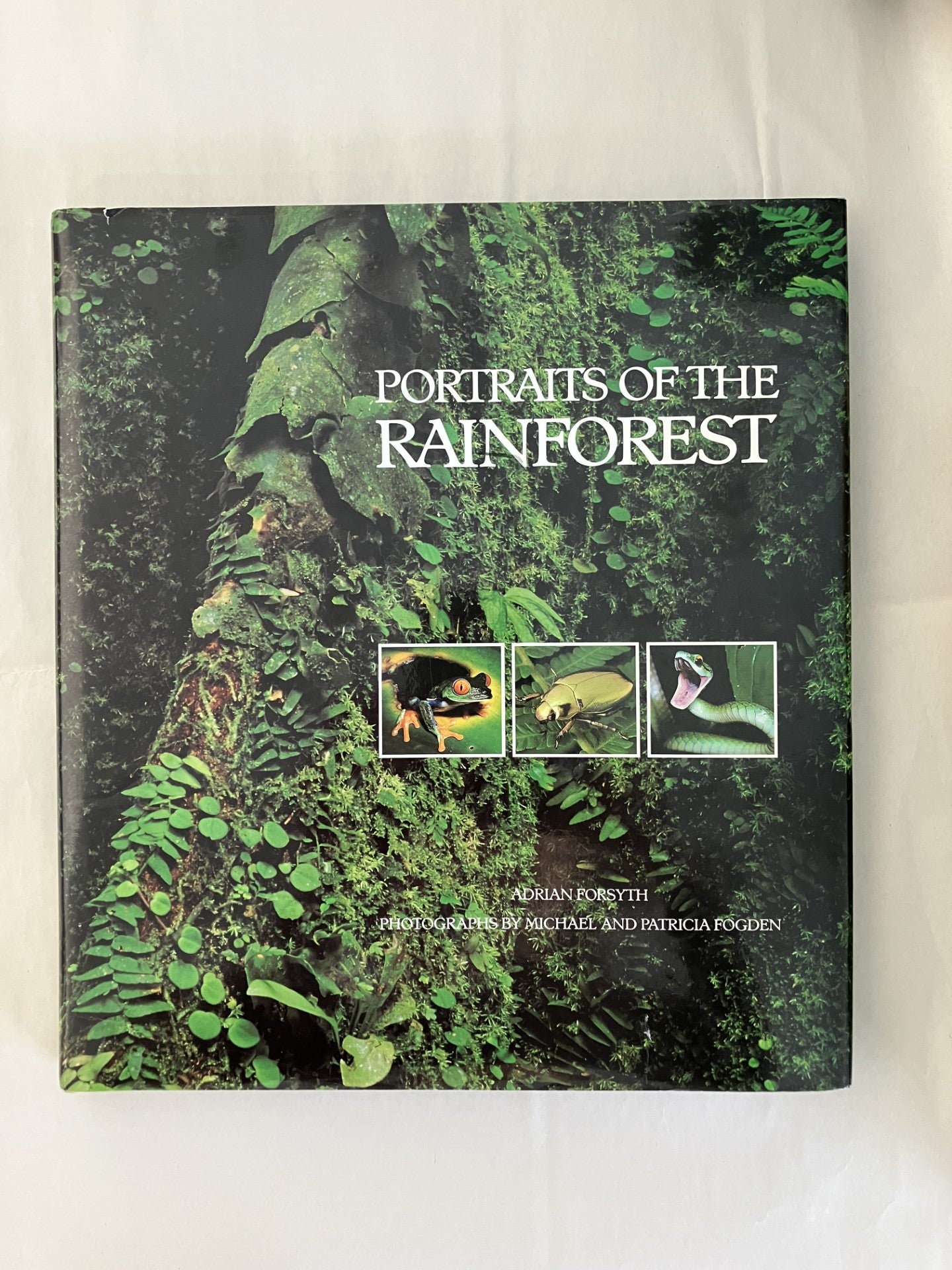 Portraits of the Rain Forest