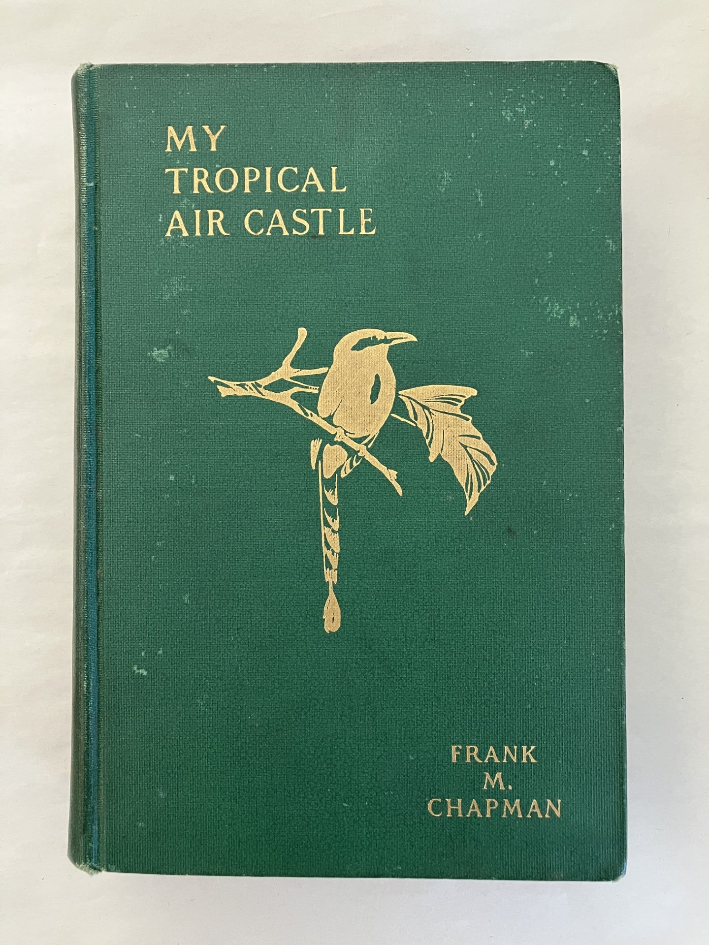 My Tropical Air Castle: Nature Studies in Panama