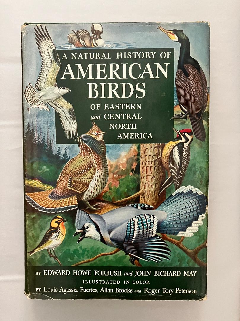 A Natural History of American Birds of Eastern and Central North America cover