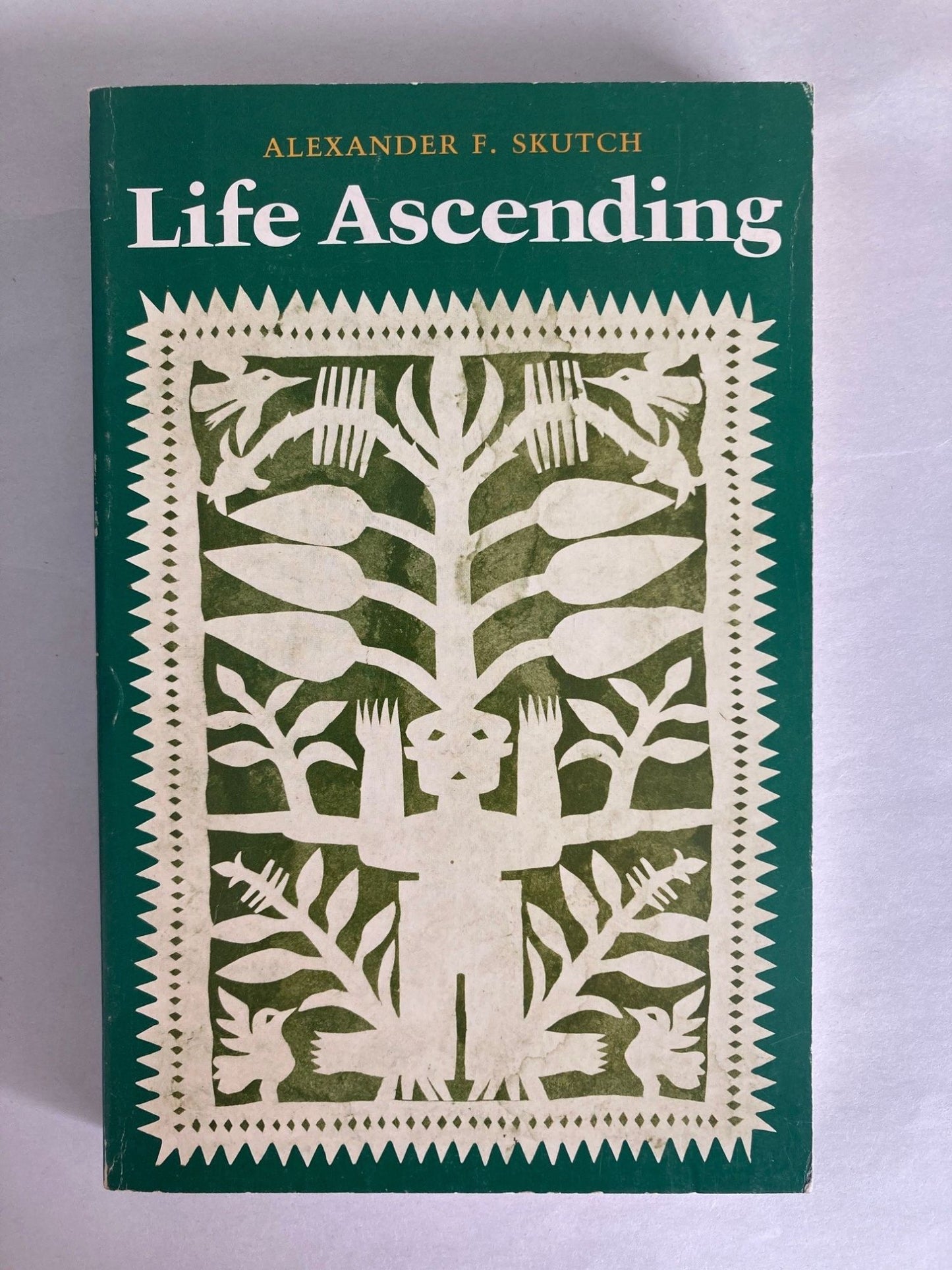 Life Ascending cover