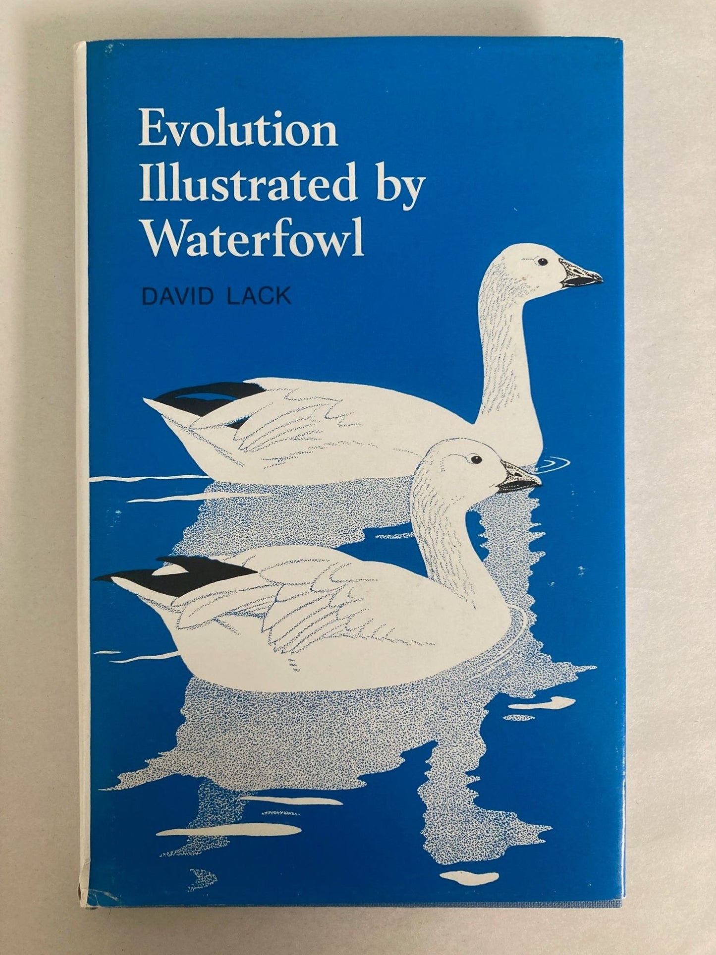Evolution Illustrated by Waterfowl cover