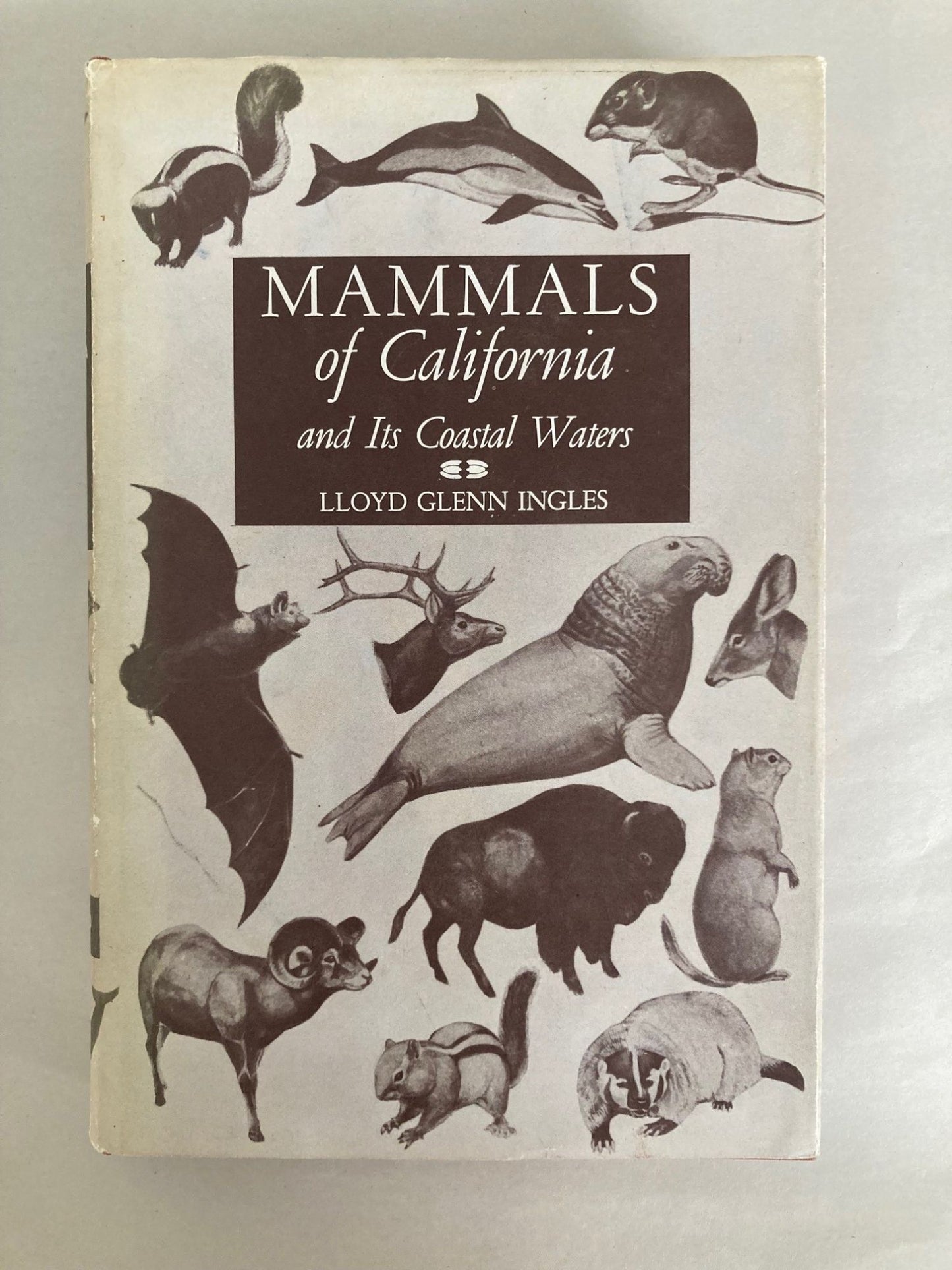 Mammals of California and Its Coastal Waters cover