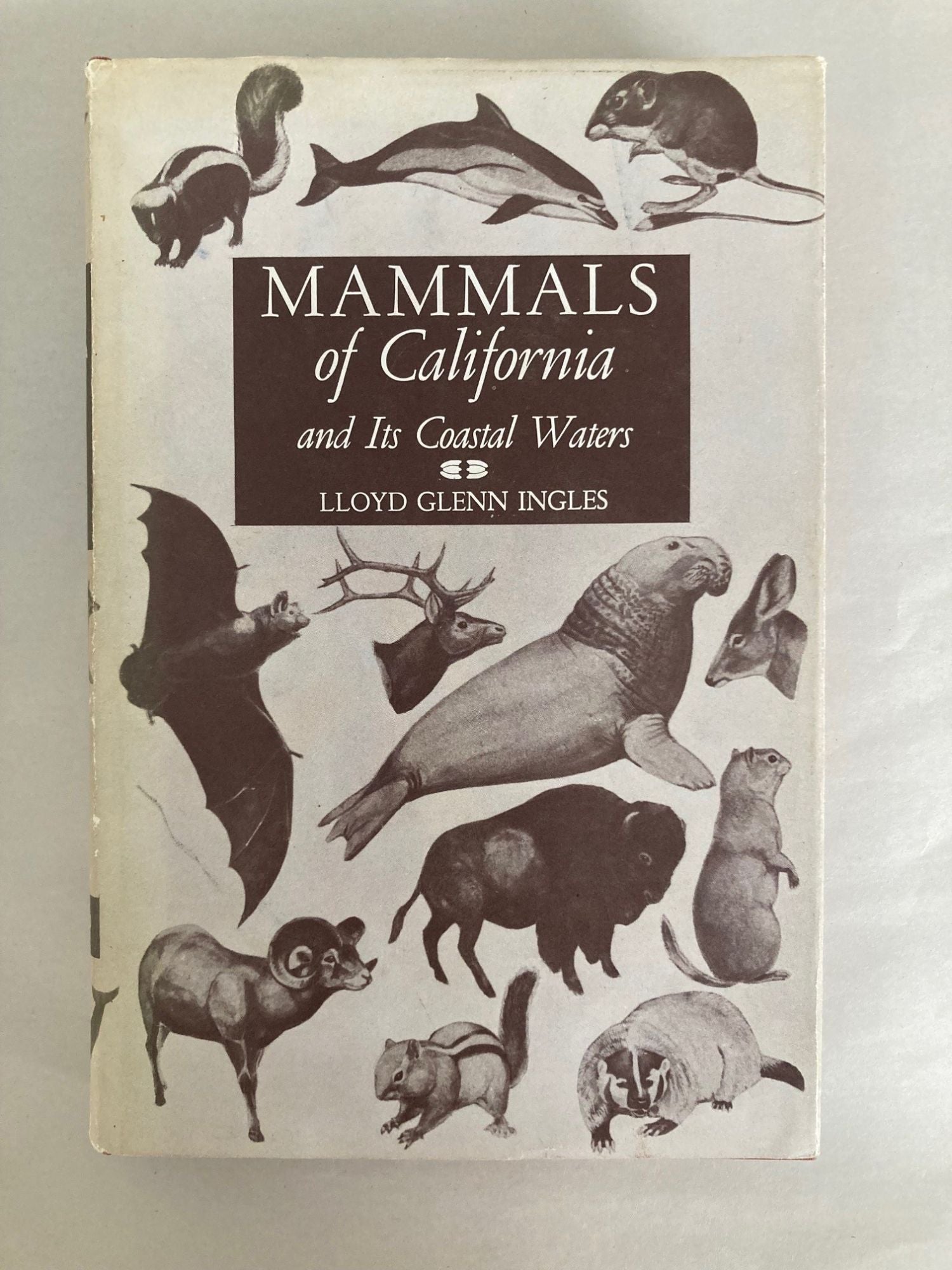 Mammals of California and Its Coastal Waters cover