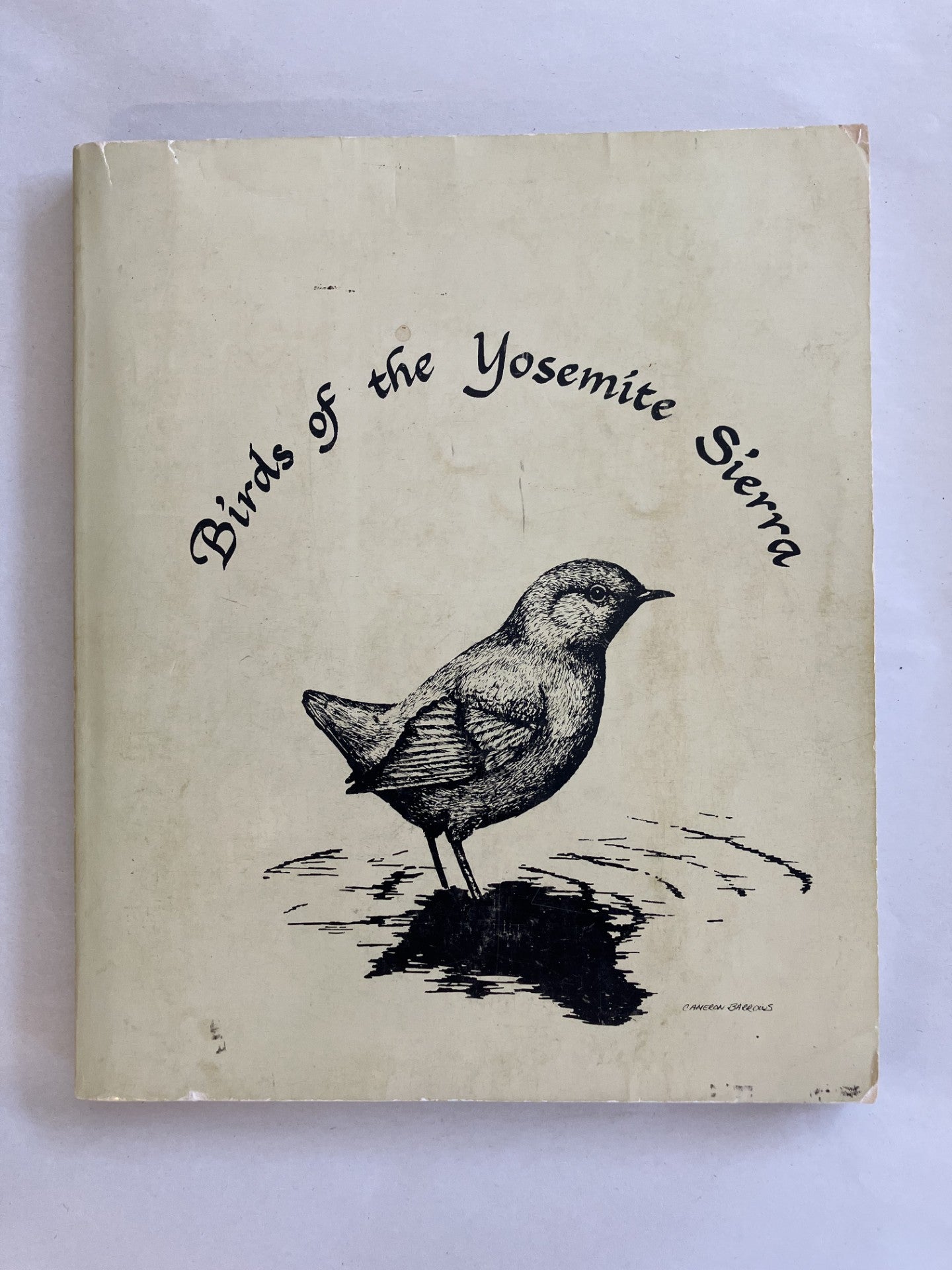Birds of the Yosemite Sierra cover