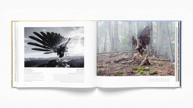 Bird Photographer of the Year: Collection 10