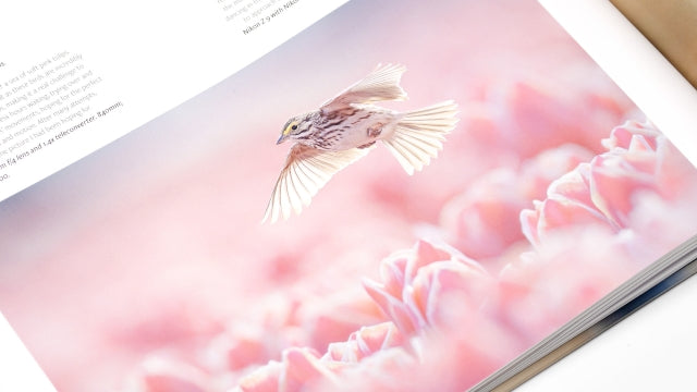 Bird Photographer of the Year: Collection 10