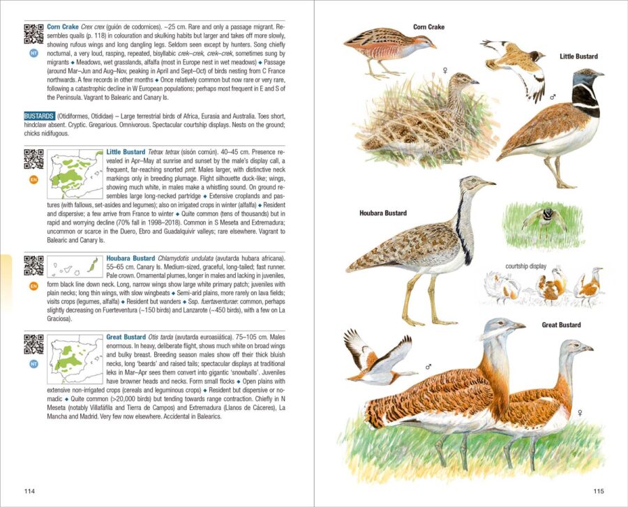 Birds of Spain (2nd Edition)