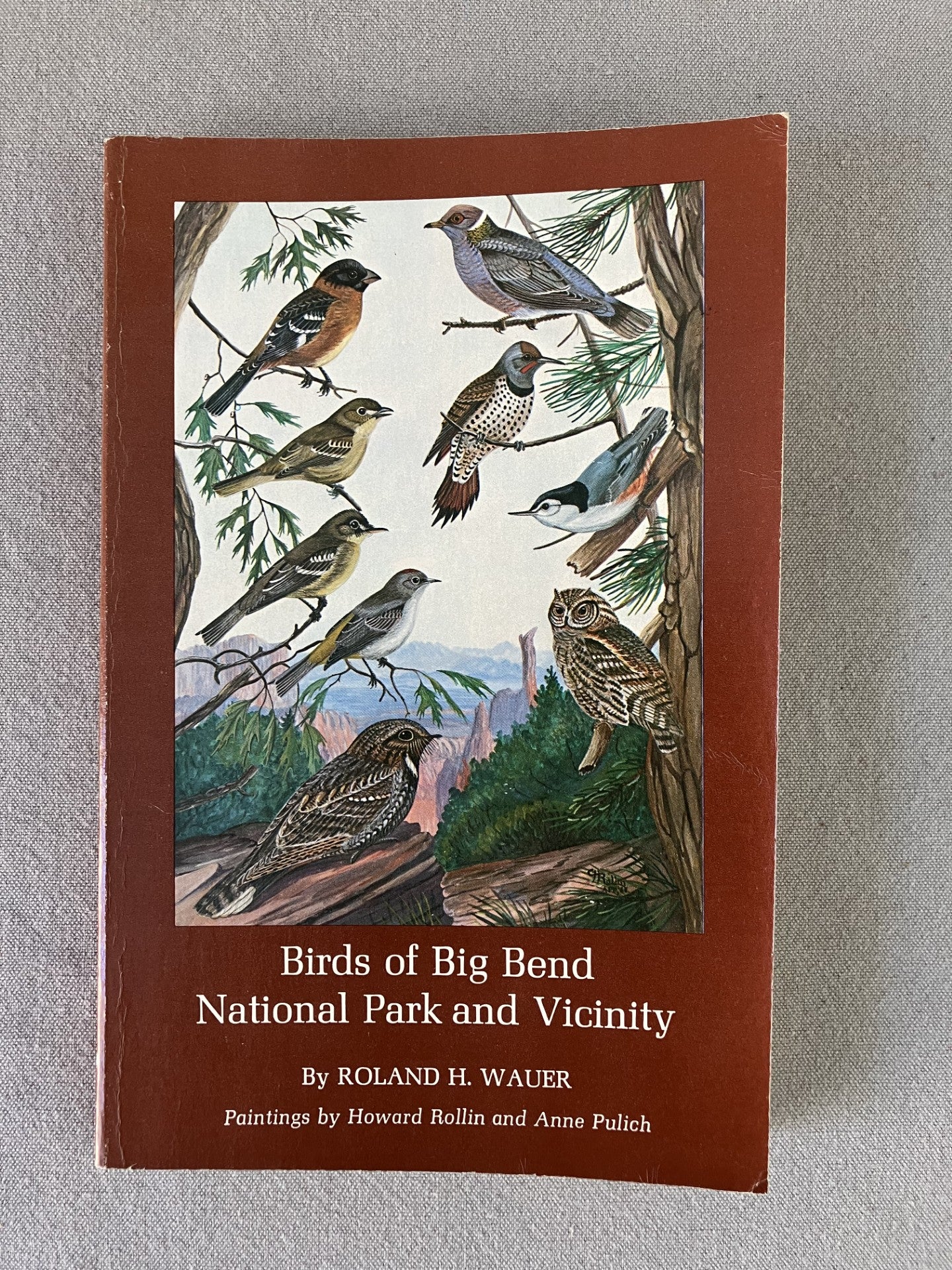 Birds of Big Bend National Park and Vicinity