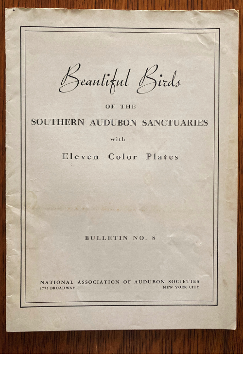 Book cover Beautiful Birds of the Southern Audubon Sanctuaries