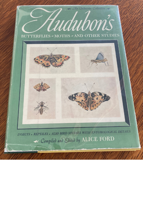 Book cover Audubon's Butterflies, Moths, and Other Studies