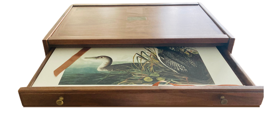 Book cover The Original Watercolor Paintings by John James Audubon for the Birds of America: Collector's Edition