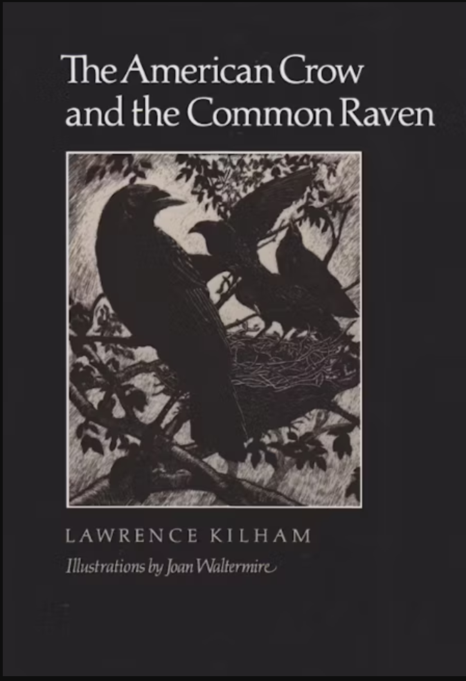 Book cover American Crow & Common Raven