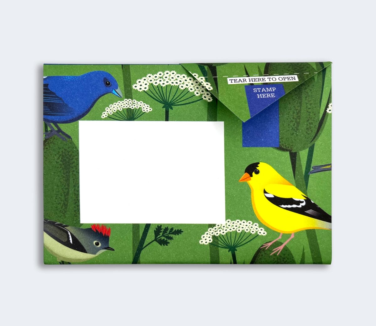 Pigeon: Letter Packs
