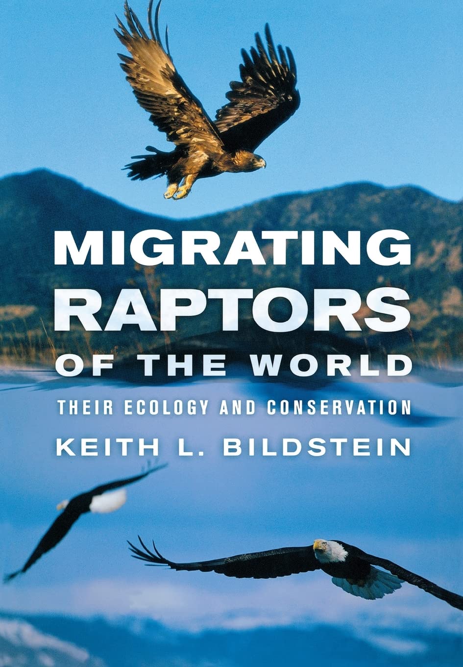 Book cover Migrating Raptors of the World: Their Ecology and Conservation