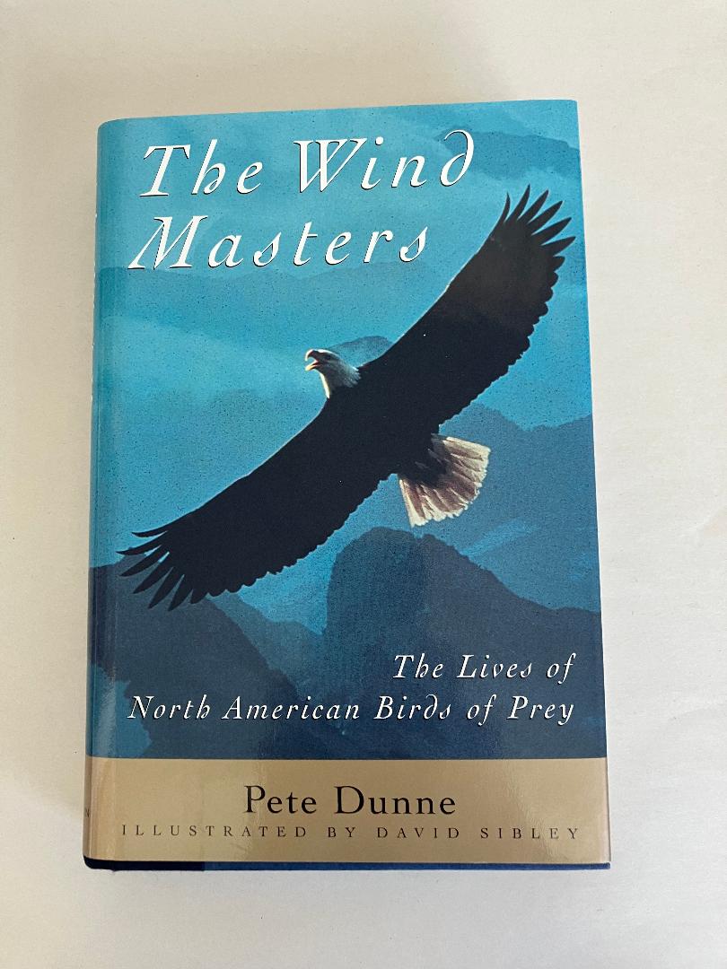 The Wind Masters cover