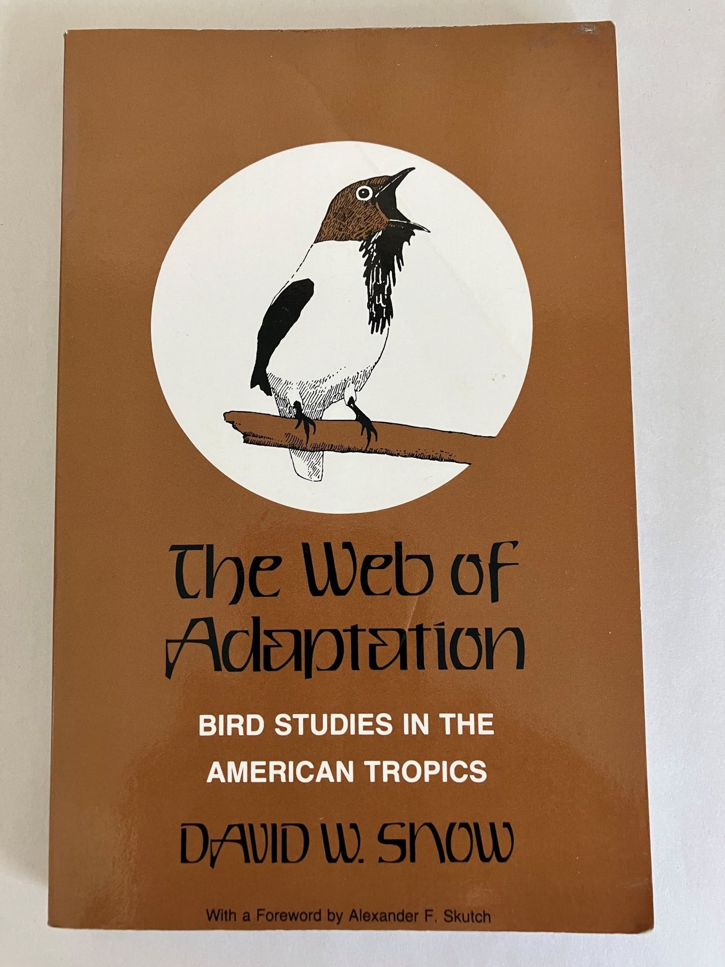 The Web of Adaptation cover