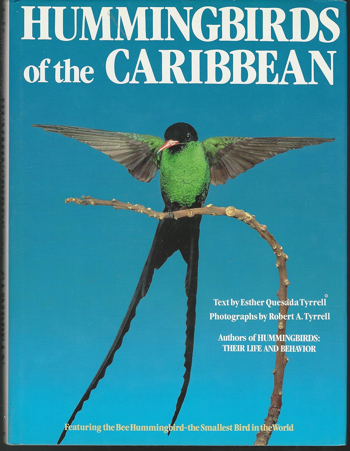 Book cover Hummingbirds of the Caribbean
