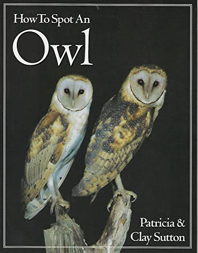 Book cover How to Spot an Owl