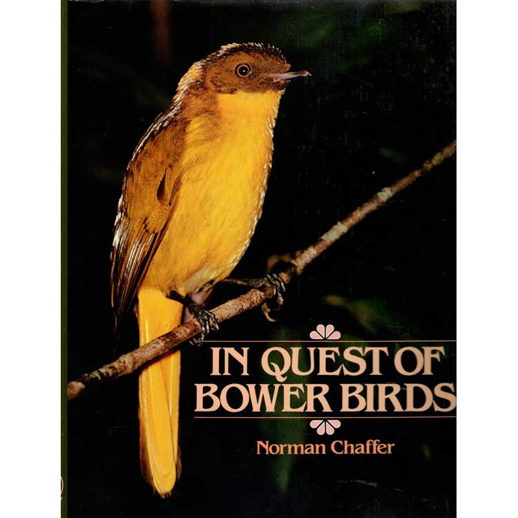 Book cover and/or sample page of In Quest of Bowerbirds