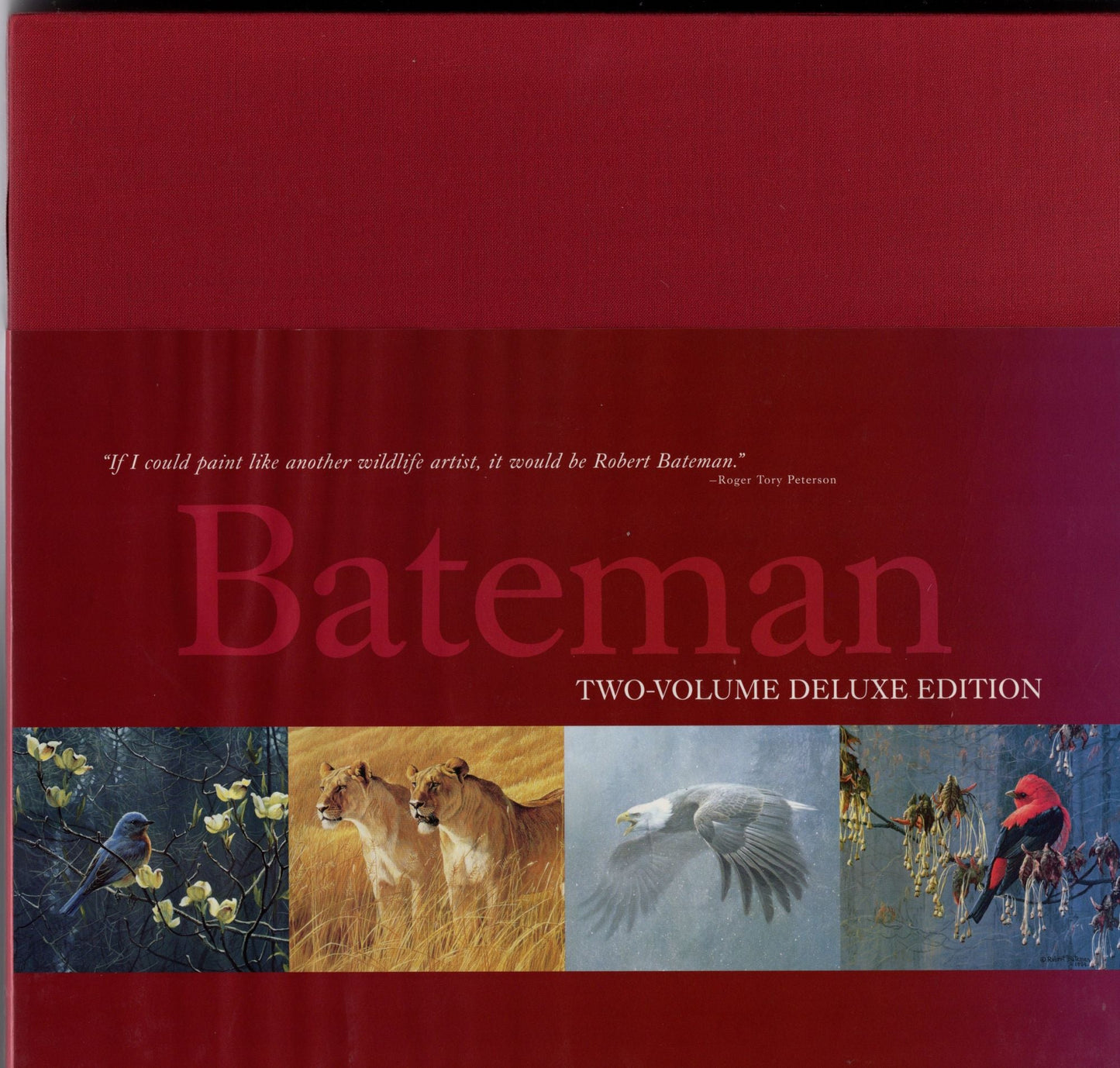 Book cover and/or sample page of Deluxe Edition: An Artist in Nature and Natural Worlds.