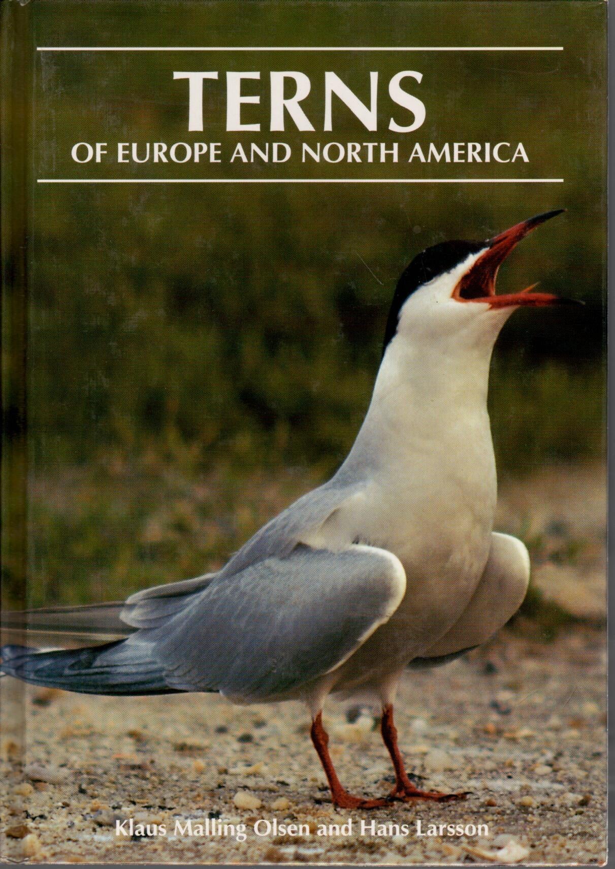Book cover and/or sample page of Terns of Europe and North America