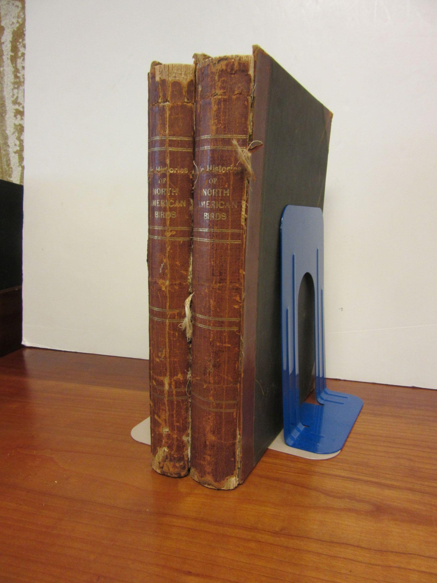 Book cover and/or sample page of Life Histories of North American Birds