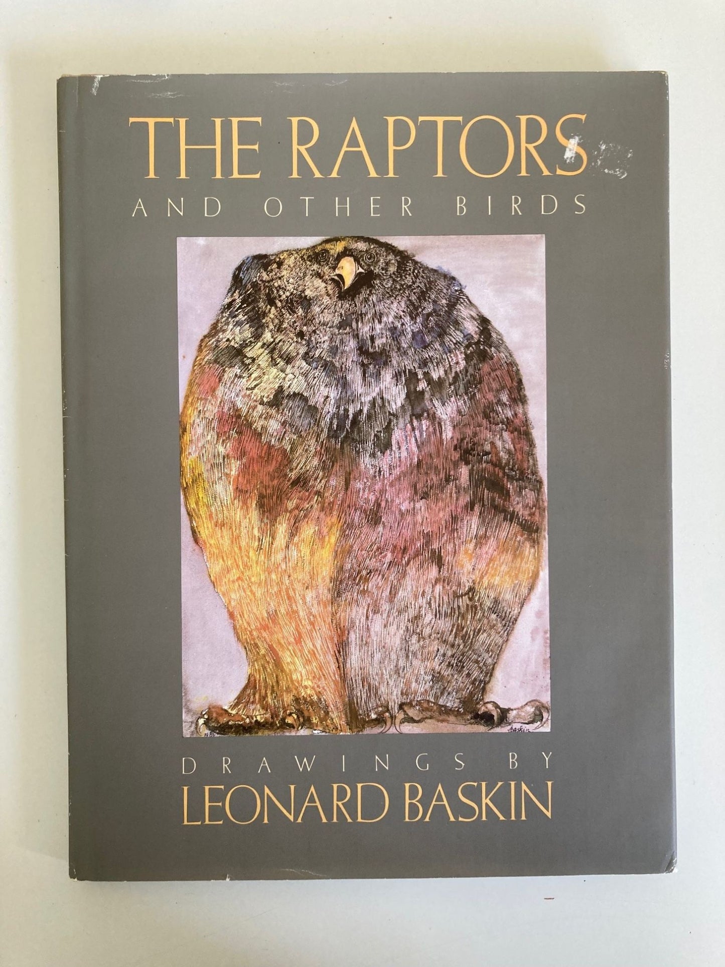Book cover The Raptors and Other Birds