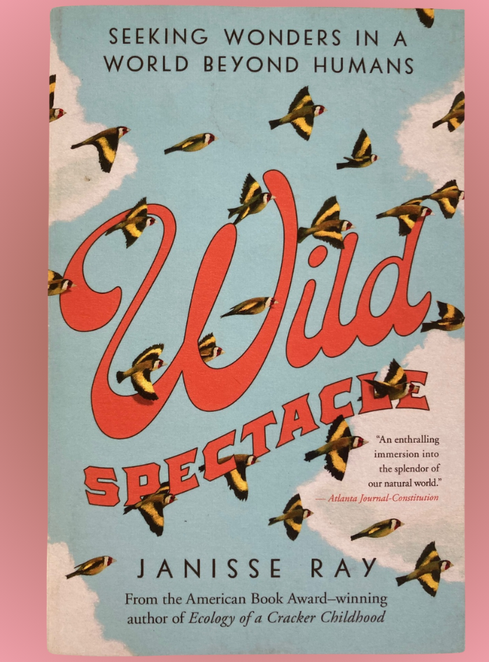 Book cover Wild Spectacle: Seeking Wonders in a World Beyond Humans