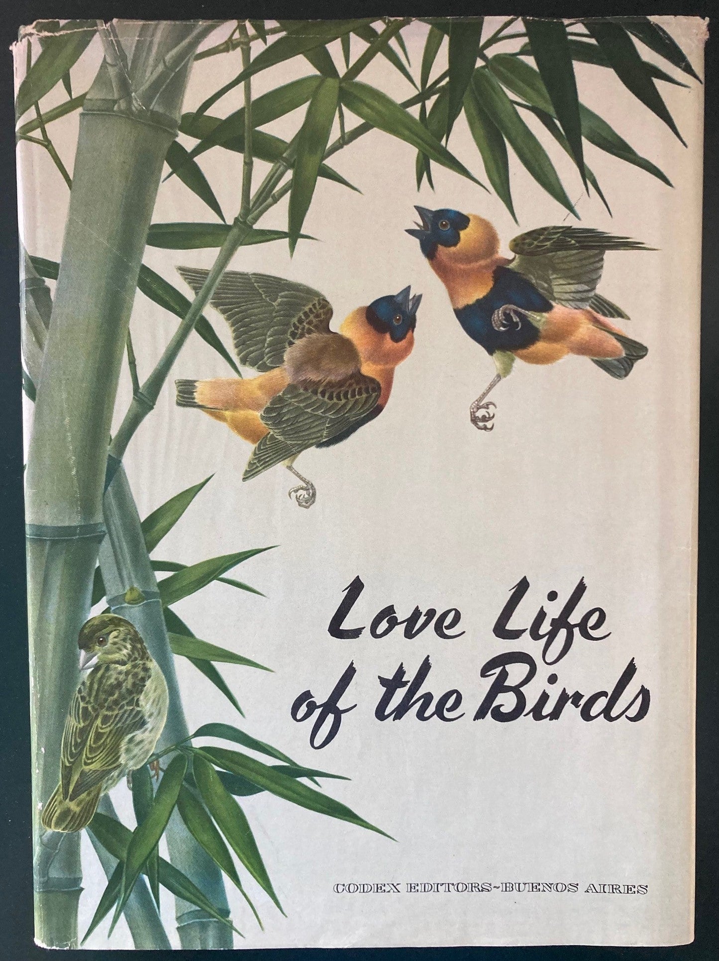 Book cover Love Life of the Birds