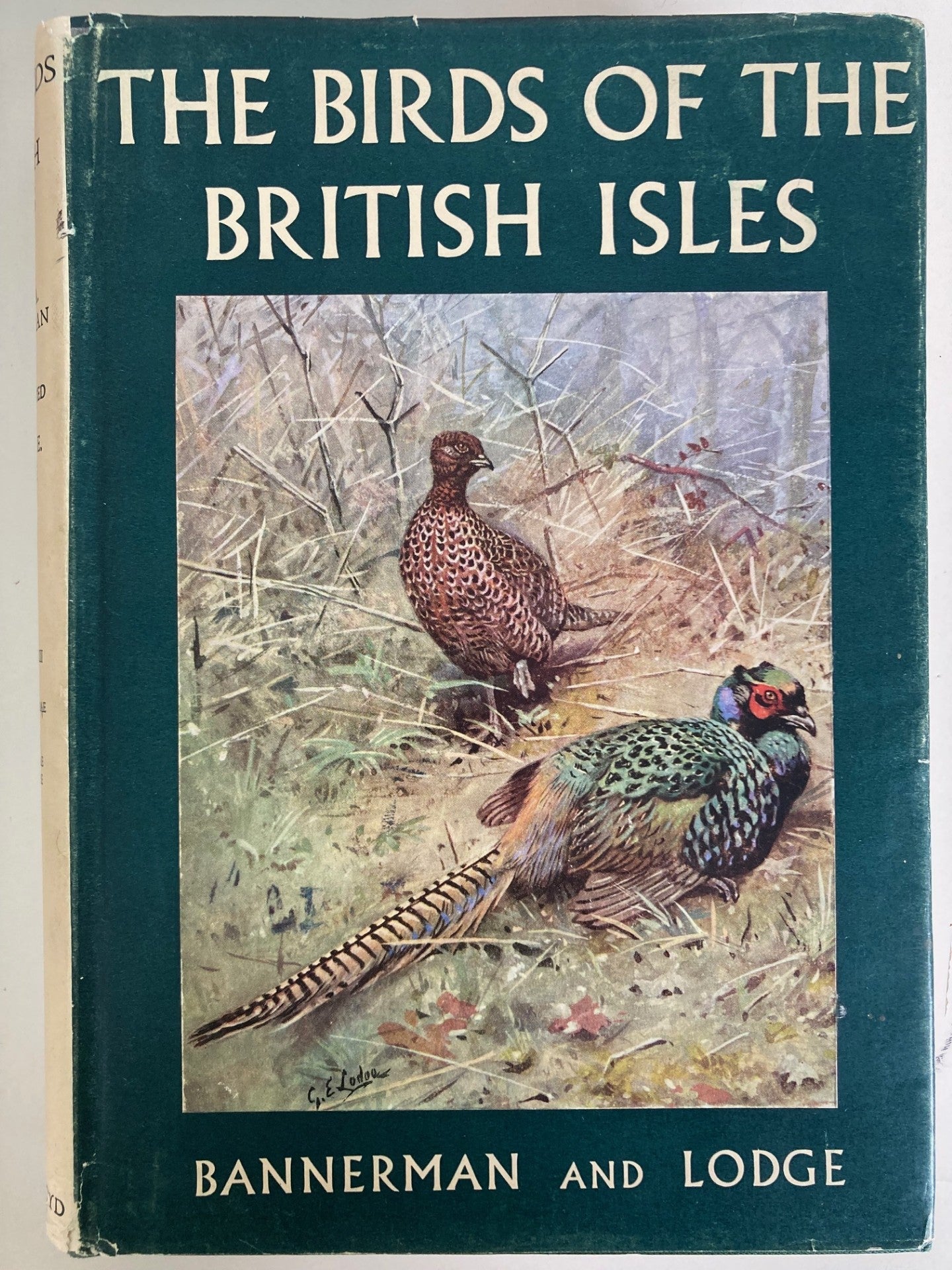 Book cover The Birds of the British Isles. Volume Twelve (XII/12 )