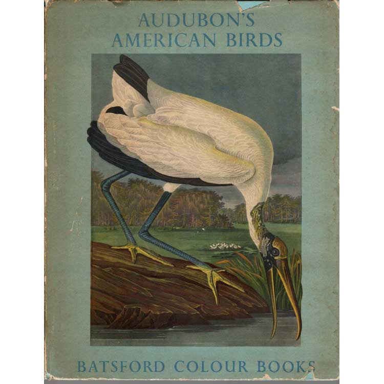 Book cover and/or sample page of Audubon's American Birds