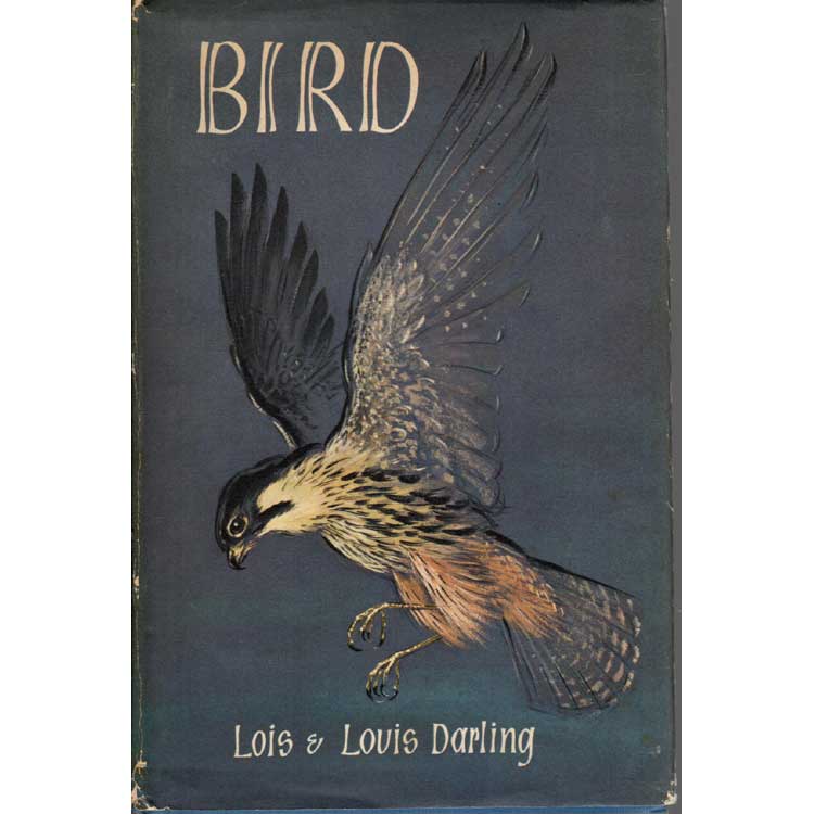 Book cover and/or sample page of Bird