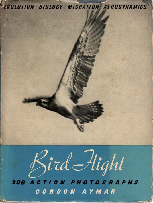 Book cover Bird Flight. A Collection of 200 Action Photographs