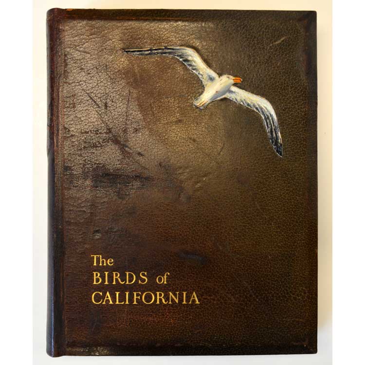 The Birds of California. A Complete, Scientific and Popular Account of the 580 Species & Subspecies