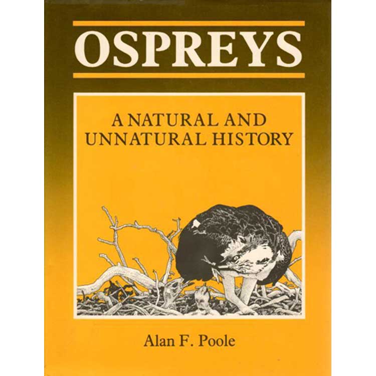 Book cover and/or sample page of Ospreys: A Natural and Unnatural History
