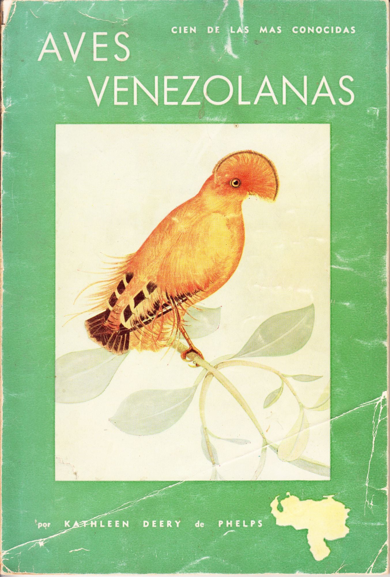Aves Venezolanas