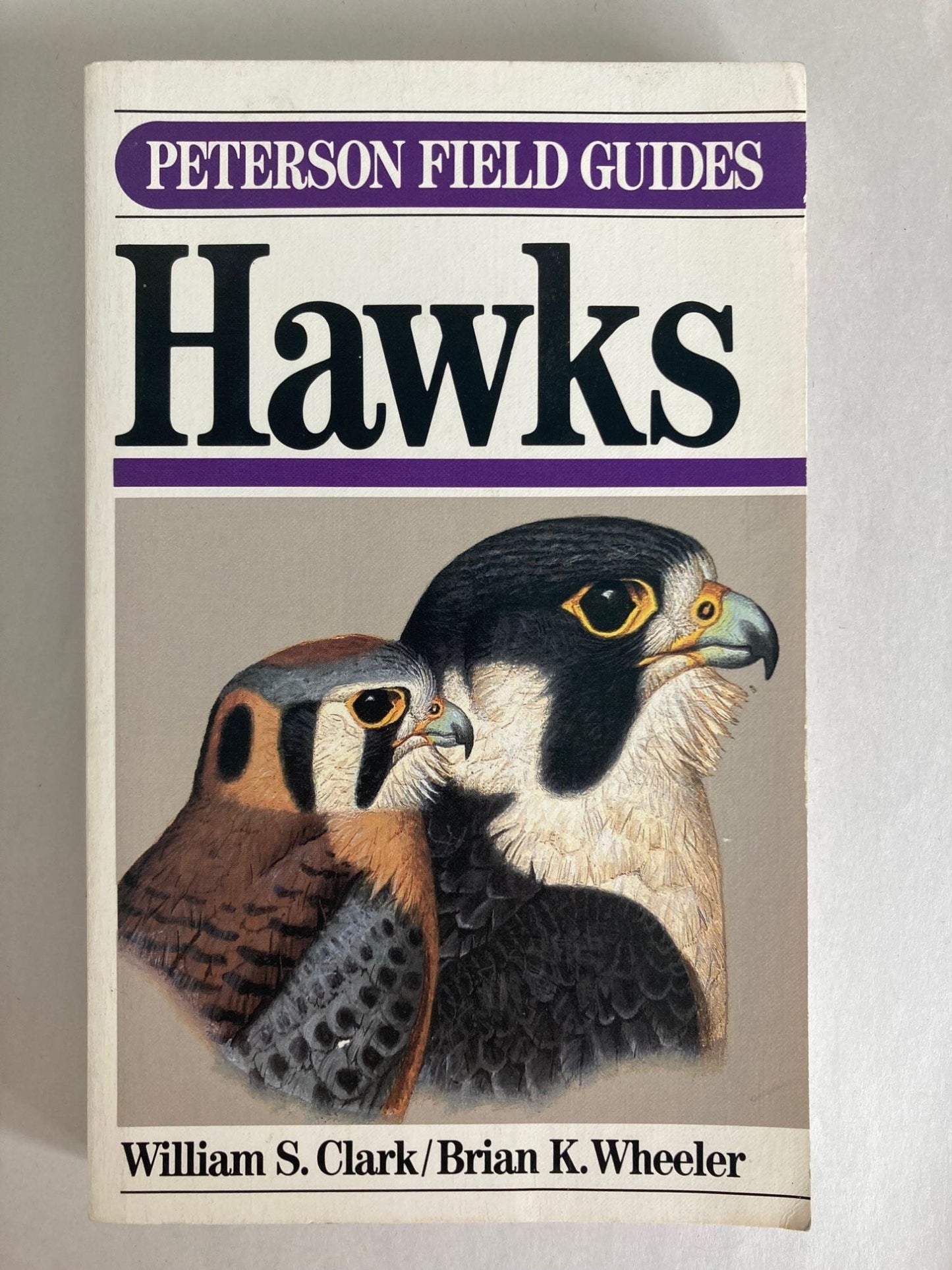 Book cover Peterson Field Guide: Hawks of North America