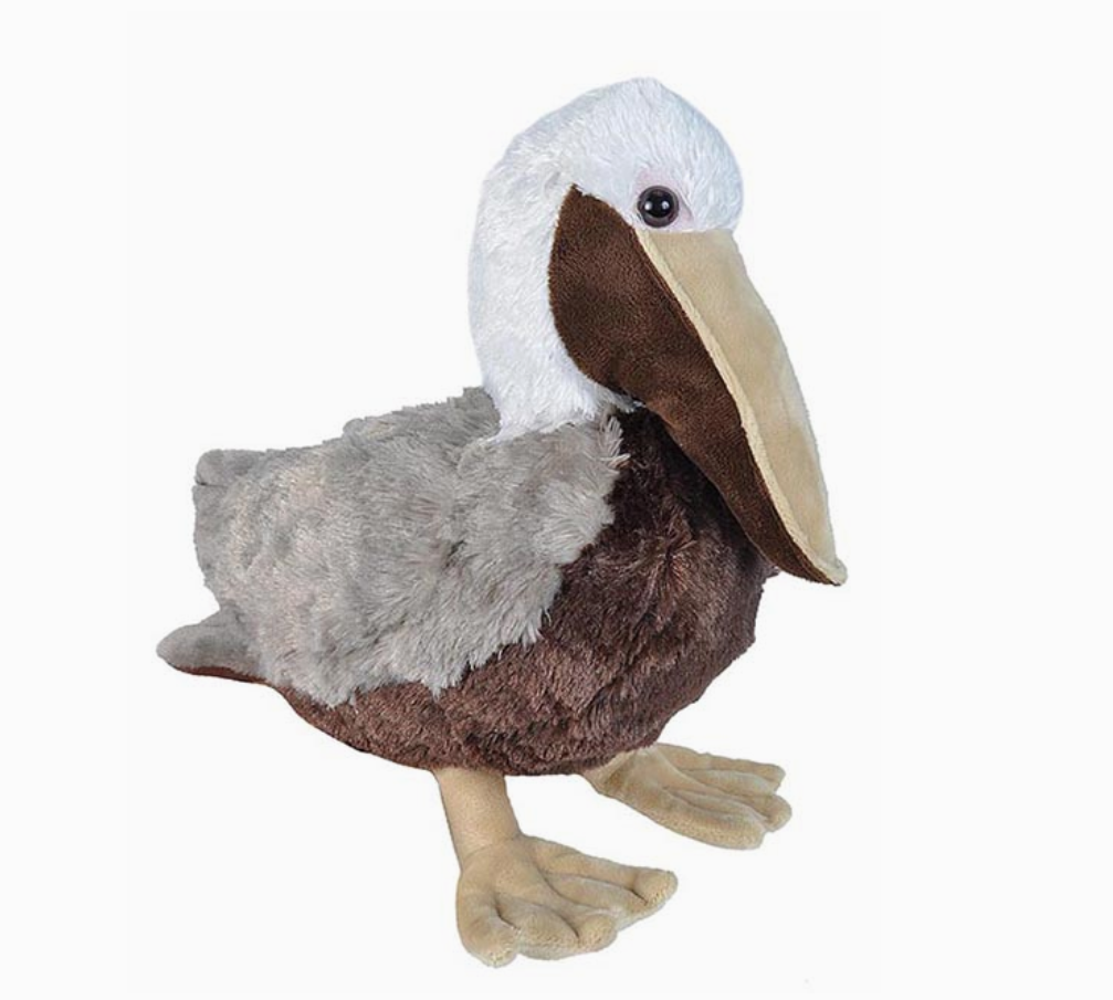 Bird Stuffed Animal
