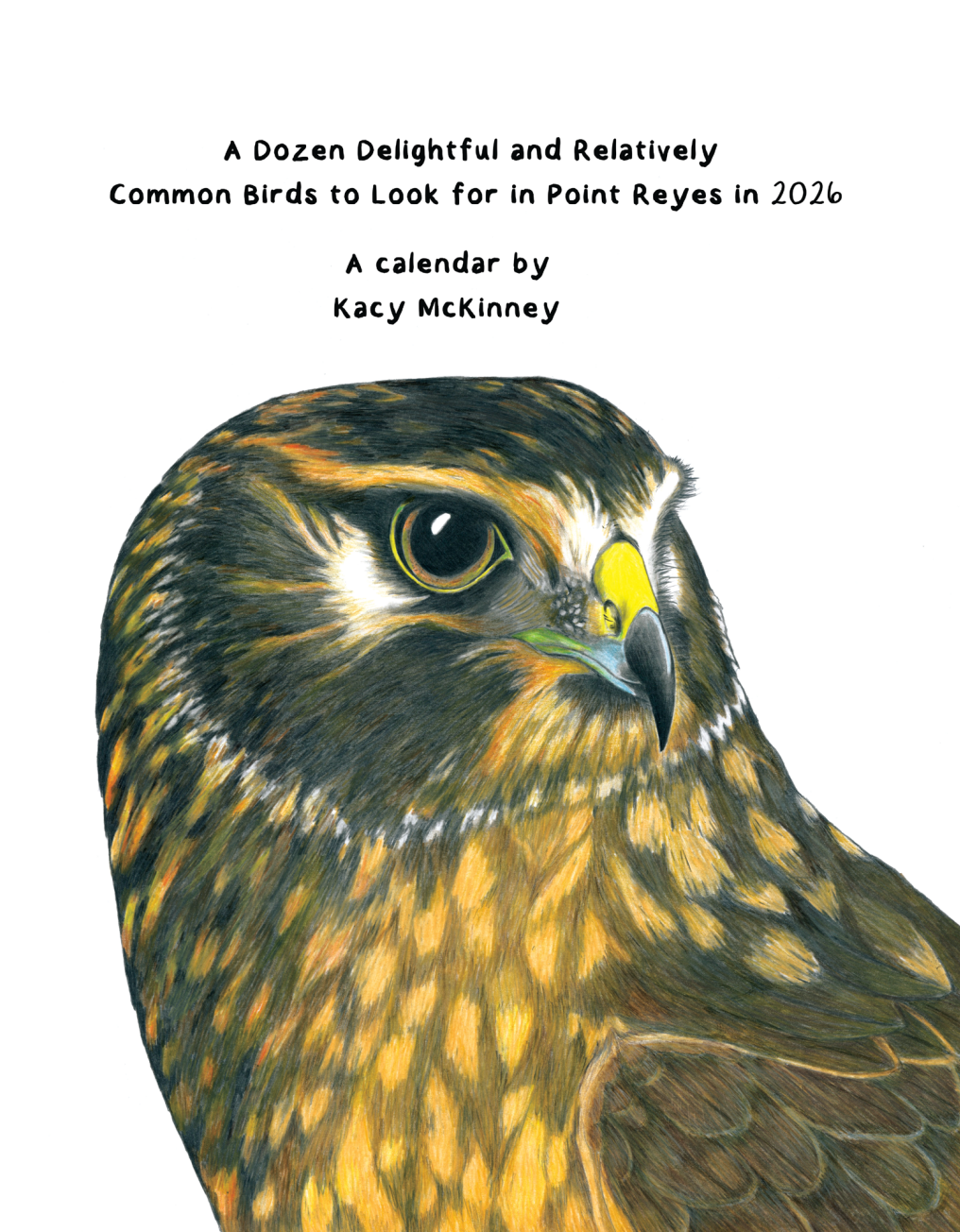 A Dozen Delightful and Relatively Common Birds to Look for in Point Reyes in 2026