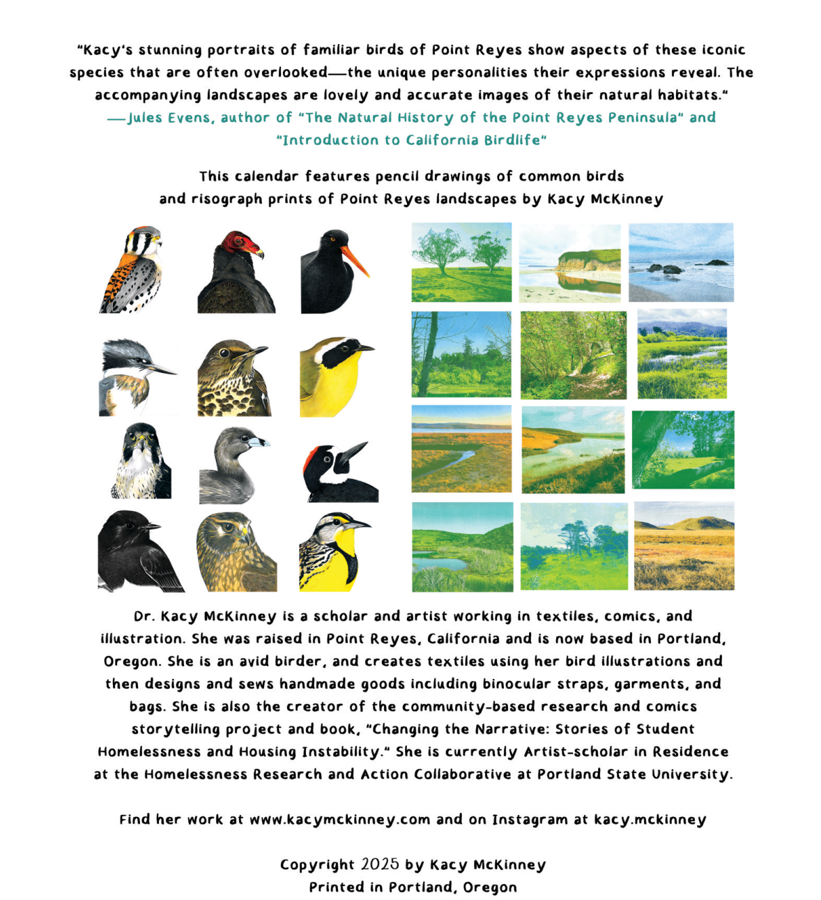 A Dozen Delightful and Relatively Common Birds to Look for in Point Reyes in 2026